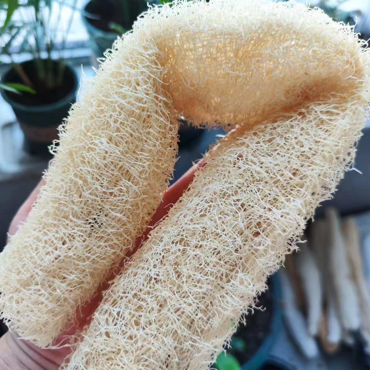 Body Loofah Natural - ฟองน้ำใยบวบมหัศจรรย์อเนกประสงค์จากการดูแลผิวไปจนถึงการทำความสะอาดบ้านเส้นใยธรรมชาติมหัศจรรย์ที่ช่วยในการทำความสะอาด