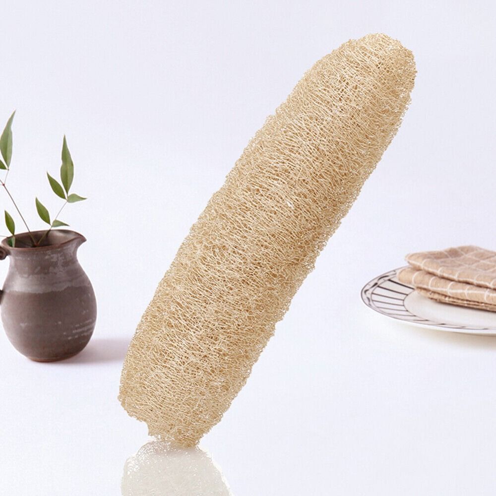 ใยบวบธรรมชาติ ฟองน้ำลูฟาห์ ใยบ - Body Loofah Natural บทวิจารณ์และราคา
