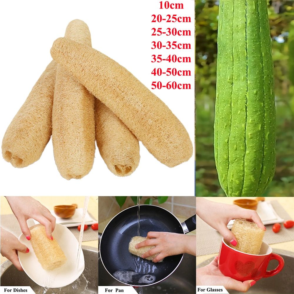 ใยบวบธรรมชาติใยบวบฟองน้ำสำหรับ - Body Loofah Natural บทวิจารณ์และราคา